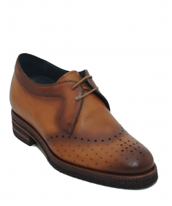 OXFORD MARRÓN